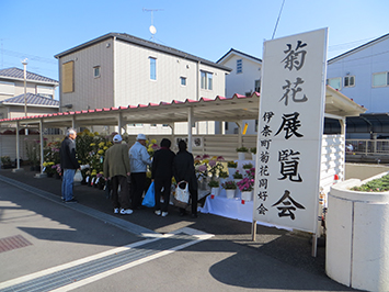 伊奈町総合文化祭05